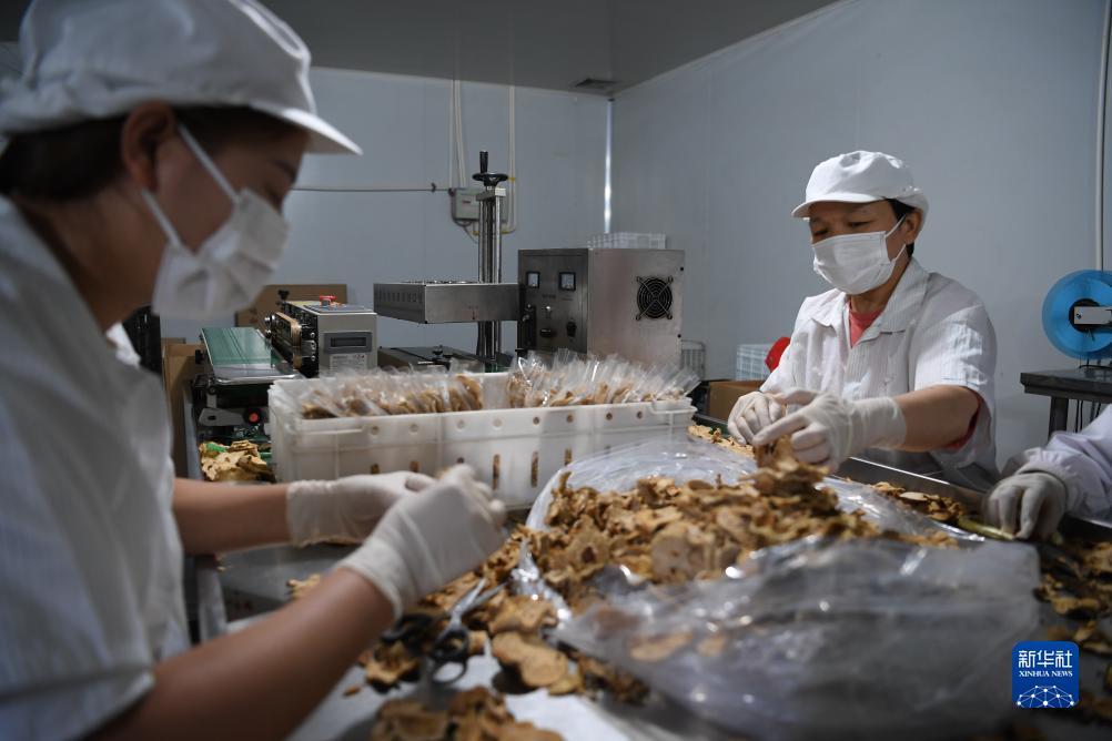 网投综合平台